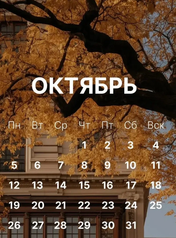 ☀️#Утречко ЭШИ