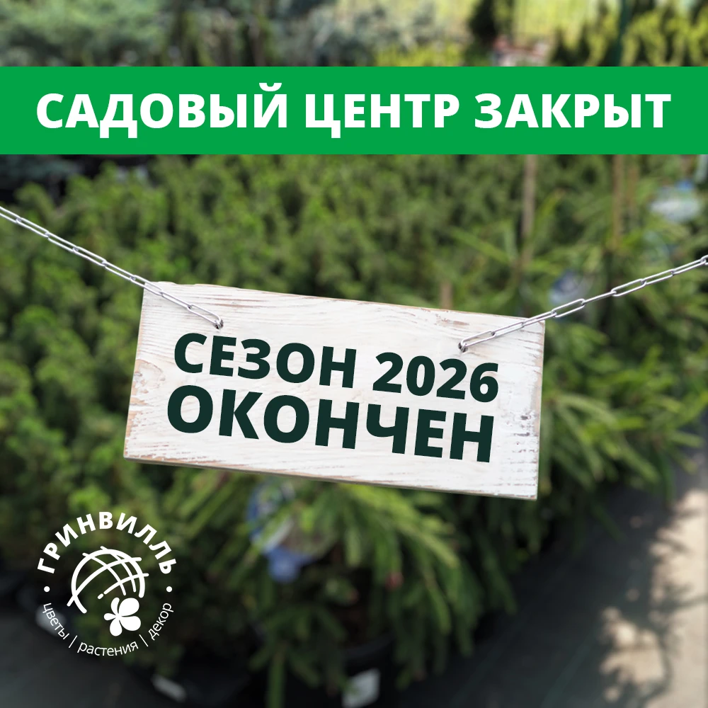 🌿 САДОВЫЙ СЕЗОН 2026 ЗАВЕРШЁН