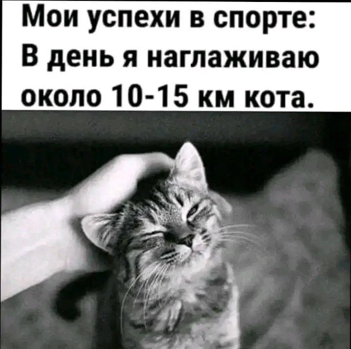 😃Картинки для настроения|👉 Подписаться