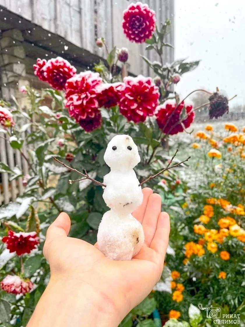 Первый снеговик этой осени 🍁⛄️
