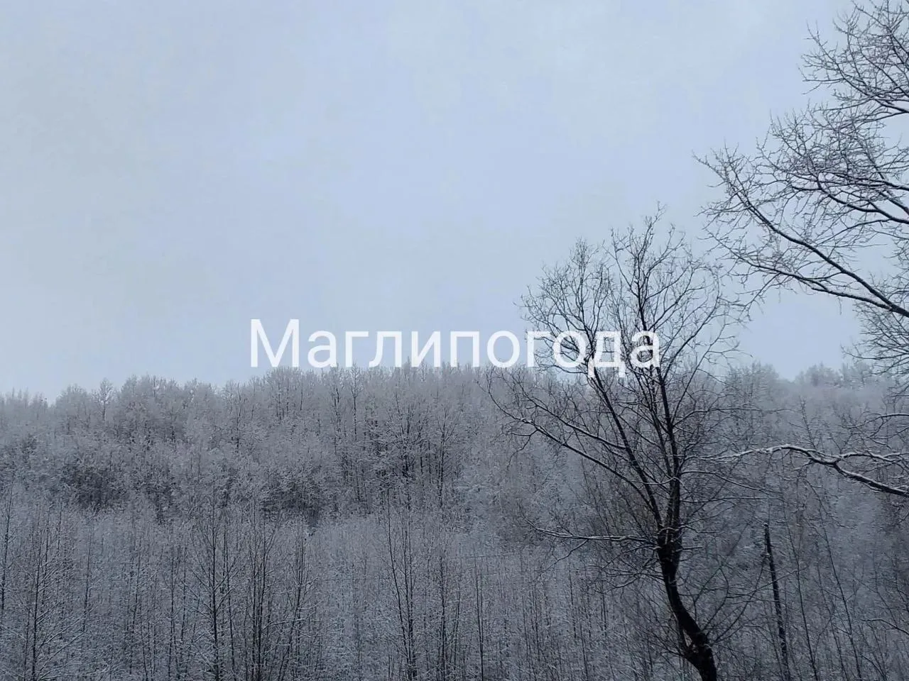 ☃️В северных районах Приморья сегодня выпал снег