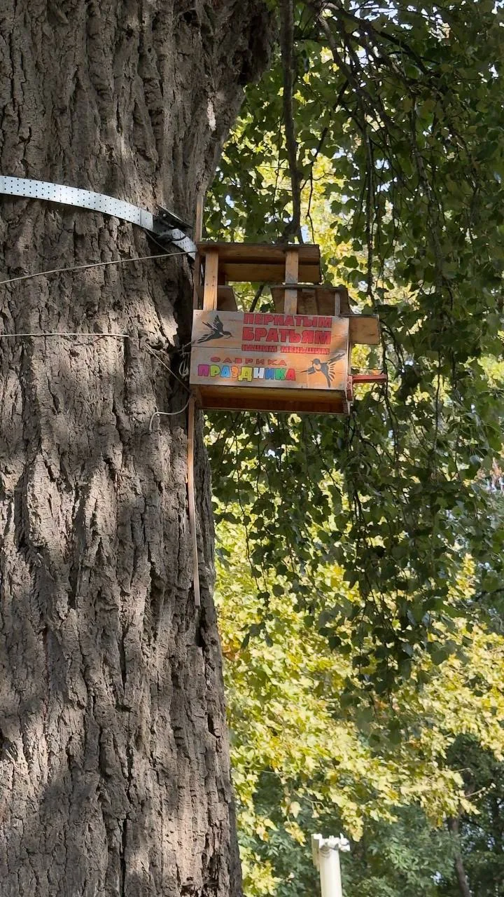 Забота о пернатых братьях наших меньших 🥹