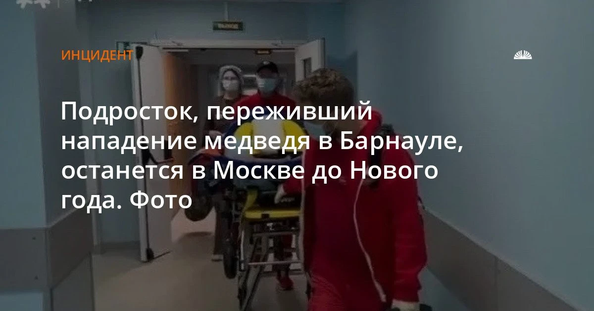 Подросток, пострадавший от медведя в Солтонском районе, останется в Москве до Нового года