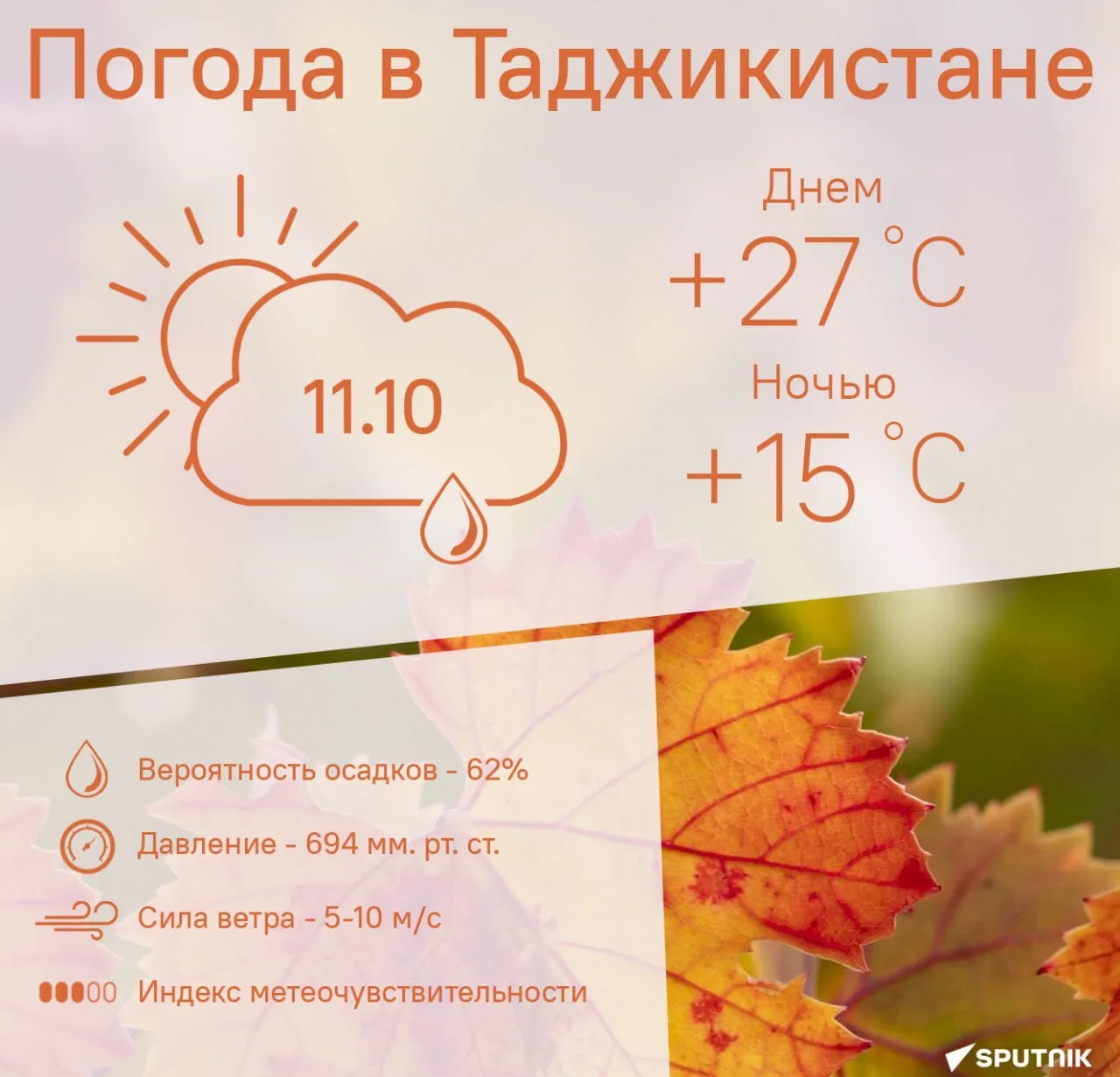 🌦 Тепло, но дождливо будет в Душанбе 11 октября.
