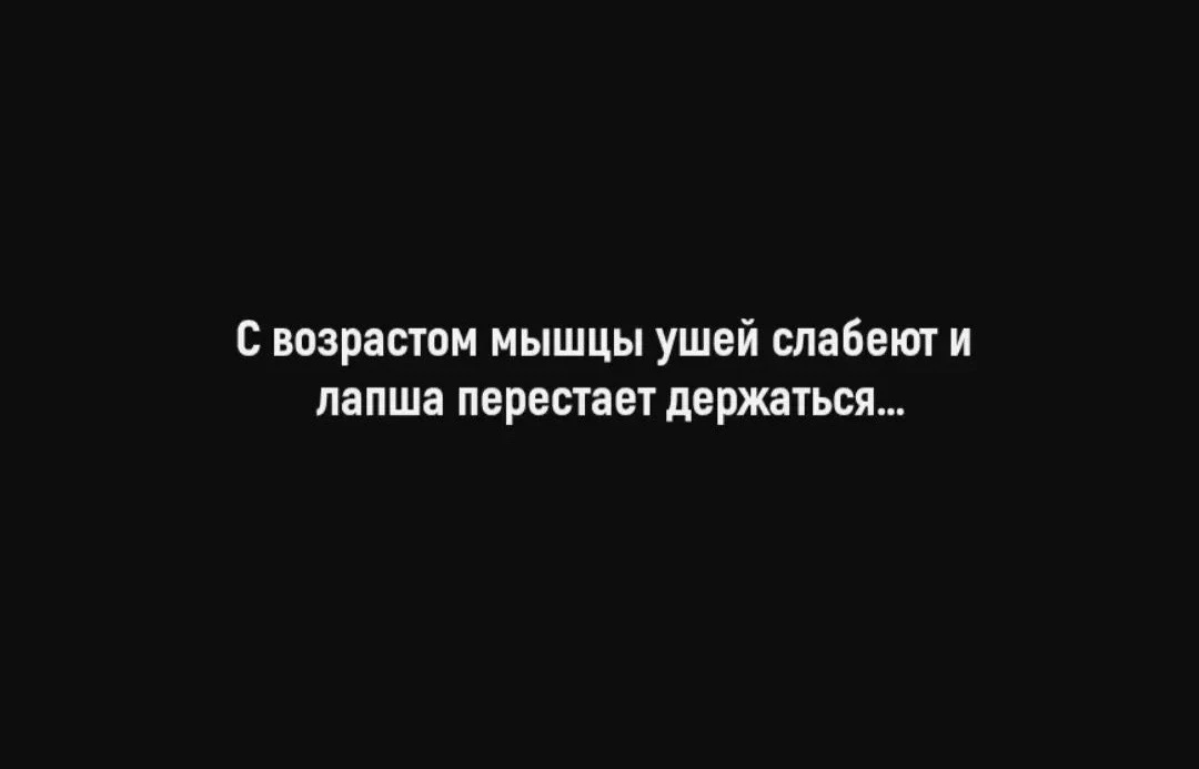 Заметили?🤣🤣🤣