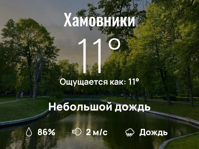 Что с погодой в Хамовниках?