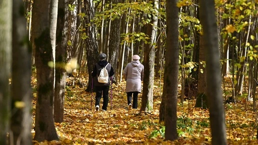 9 октября в Оренбуржье столбики термометров поднимутся до +17°C