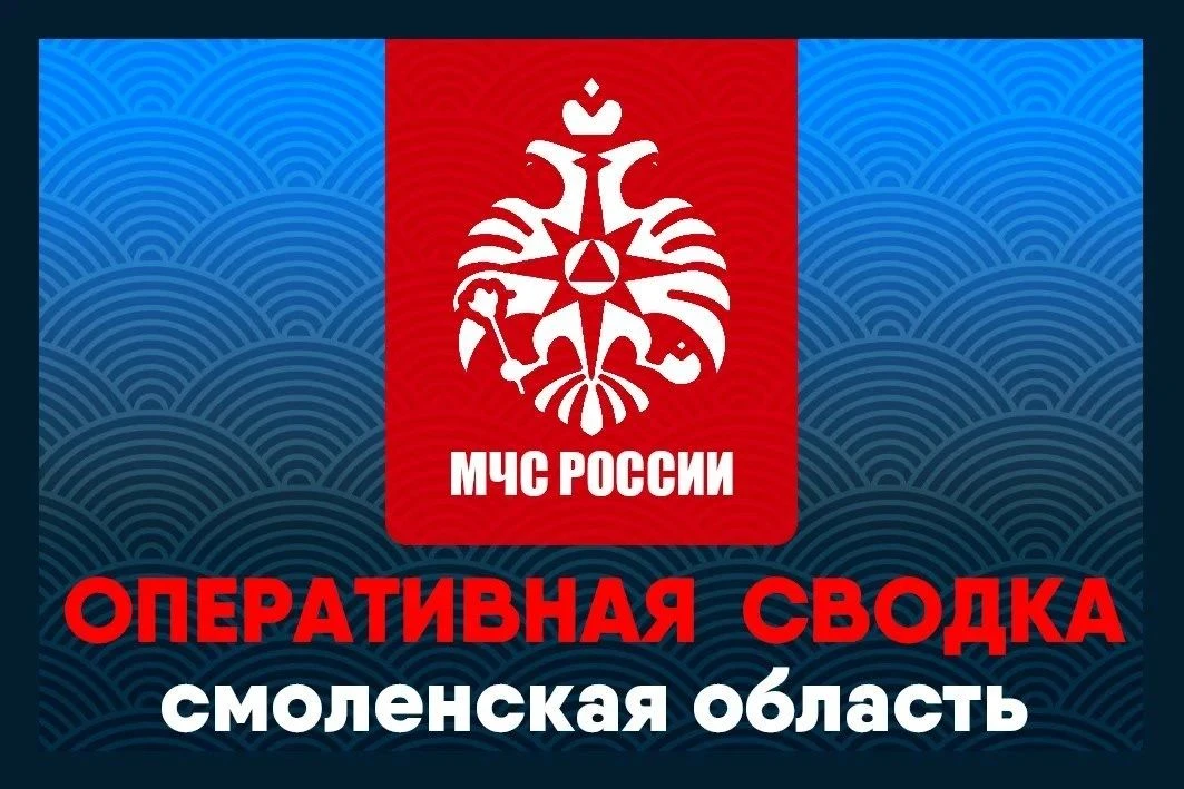 Пять пожаров потушили за сутки в Смоленской области