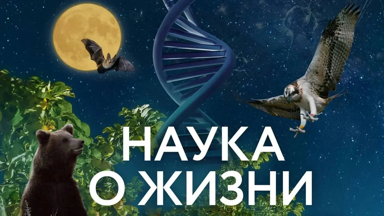 Фильм «Наука о жизни», 6+