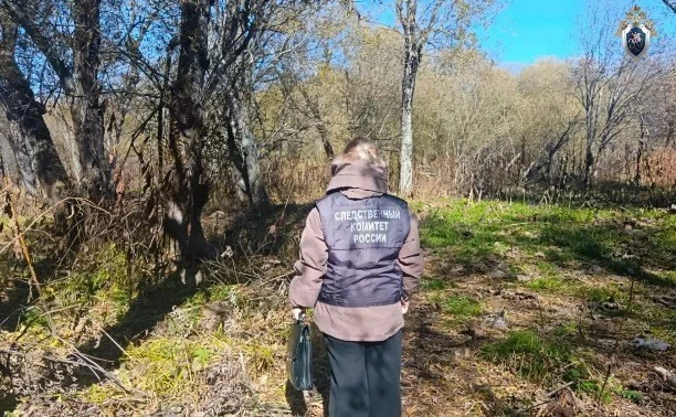 ⚡️ Мертвого мужчину обнаружили в лесу в Холмском районе