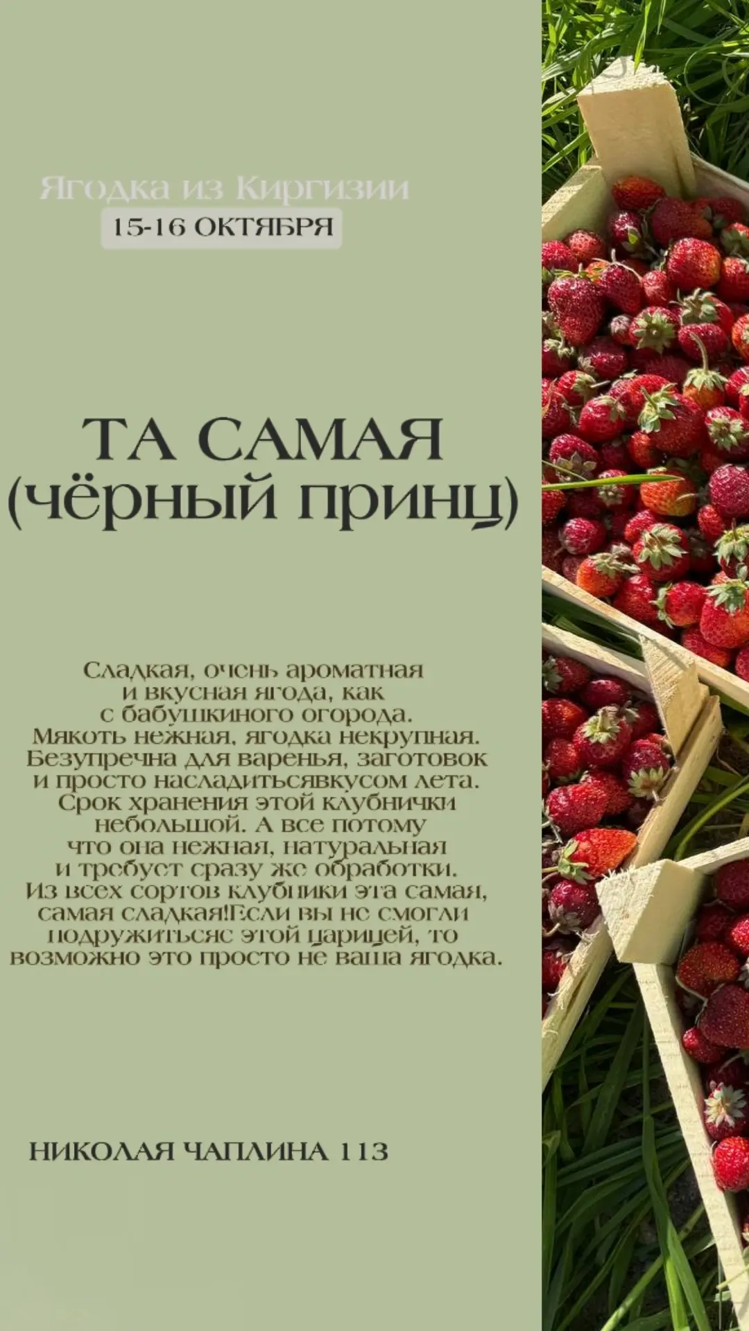 ОЖИДАЕМ ПОСТАВКУ 15-16 ОКТЯБРЯ