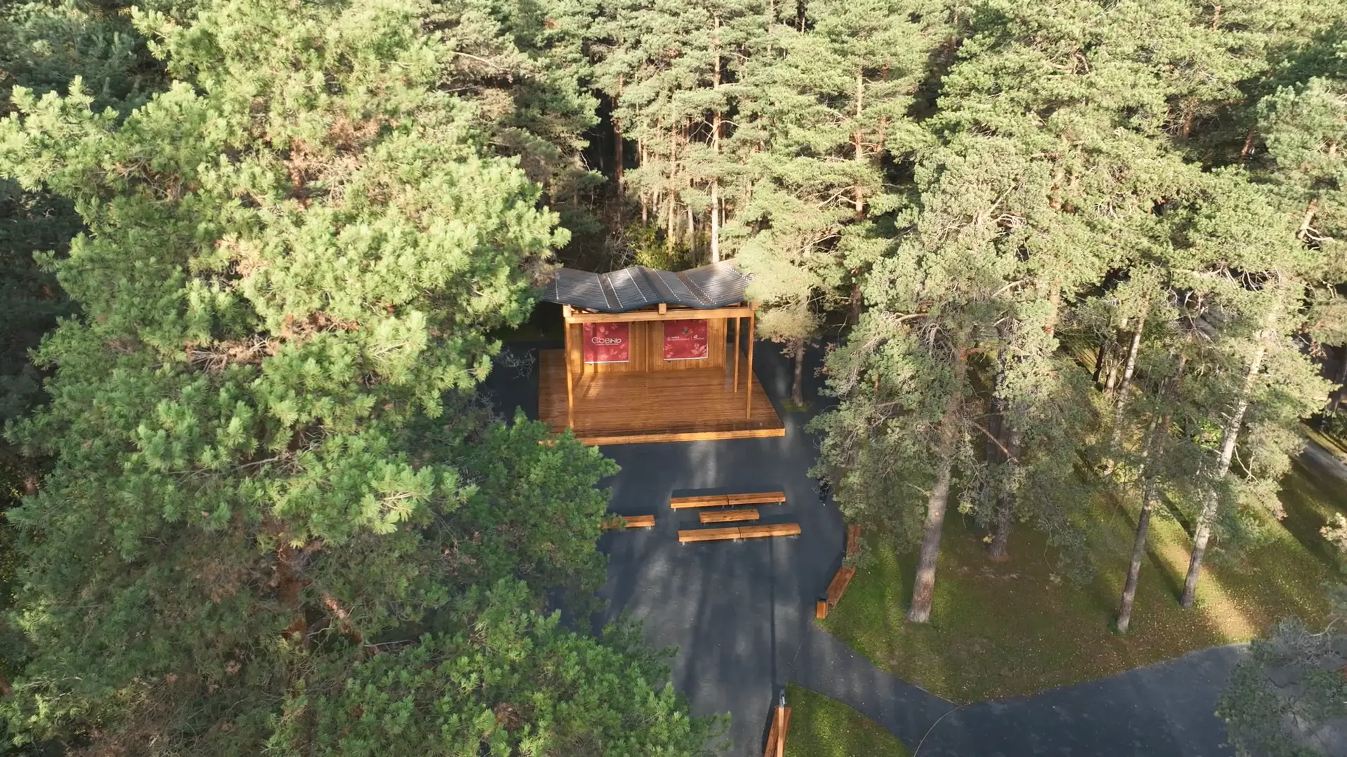 🏡 Приглашаю на открытие лесопарка!