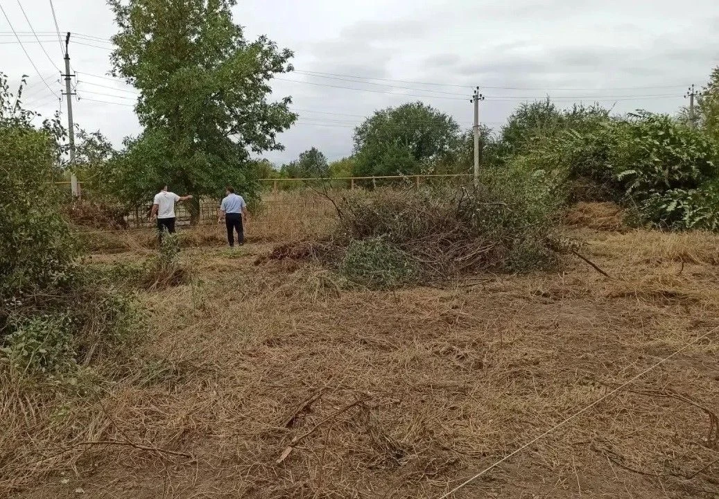 В Селивановке стартовало обустройство зоны отдыха