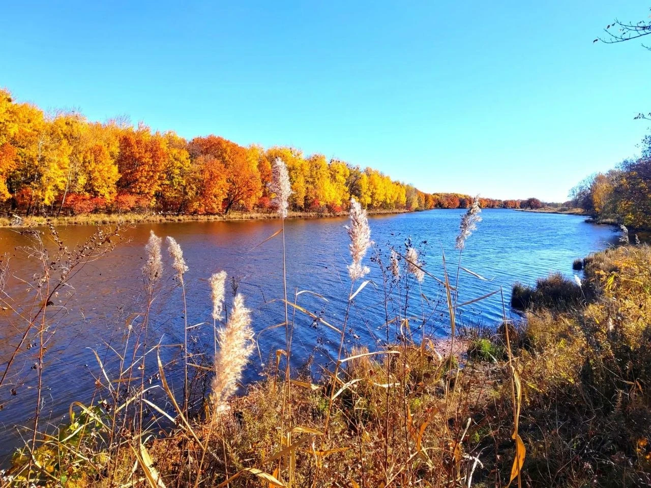 ⛅ Сегодня в Хабаровске с утра 0, днём до +7, облачно.