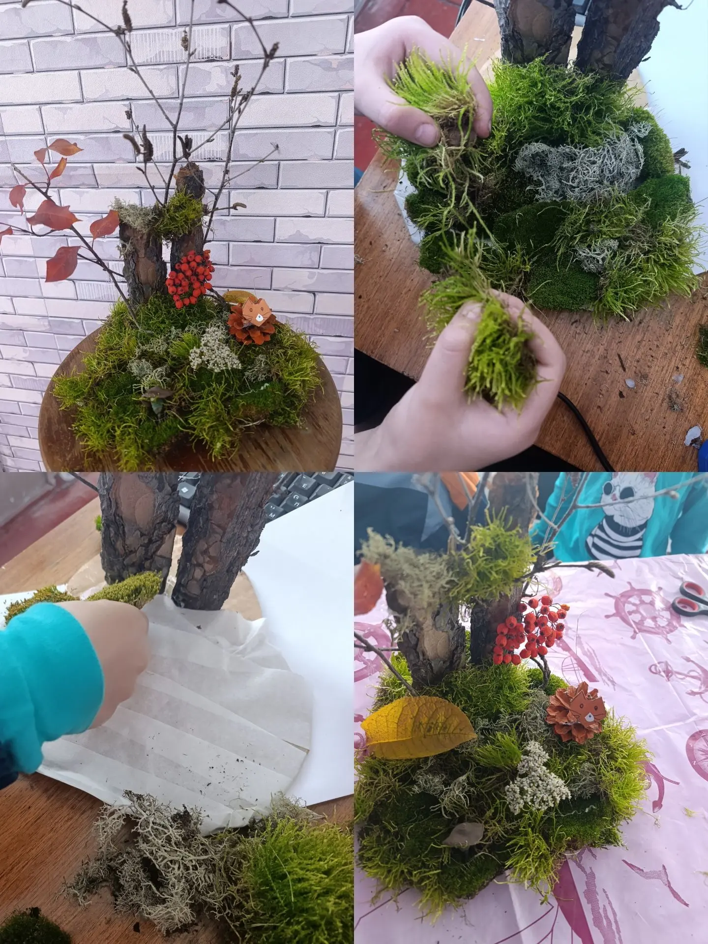 Лесное волшебство в Новом Селе!