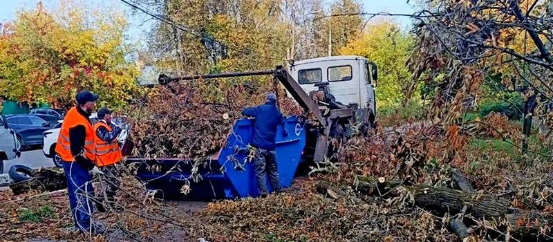В Коврове 9 октября пилят ветки у дорожных знаков и убирают смет