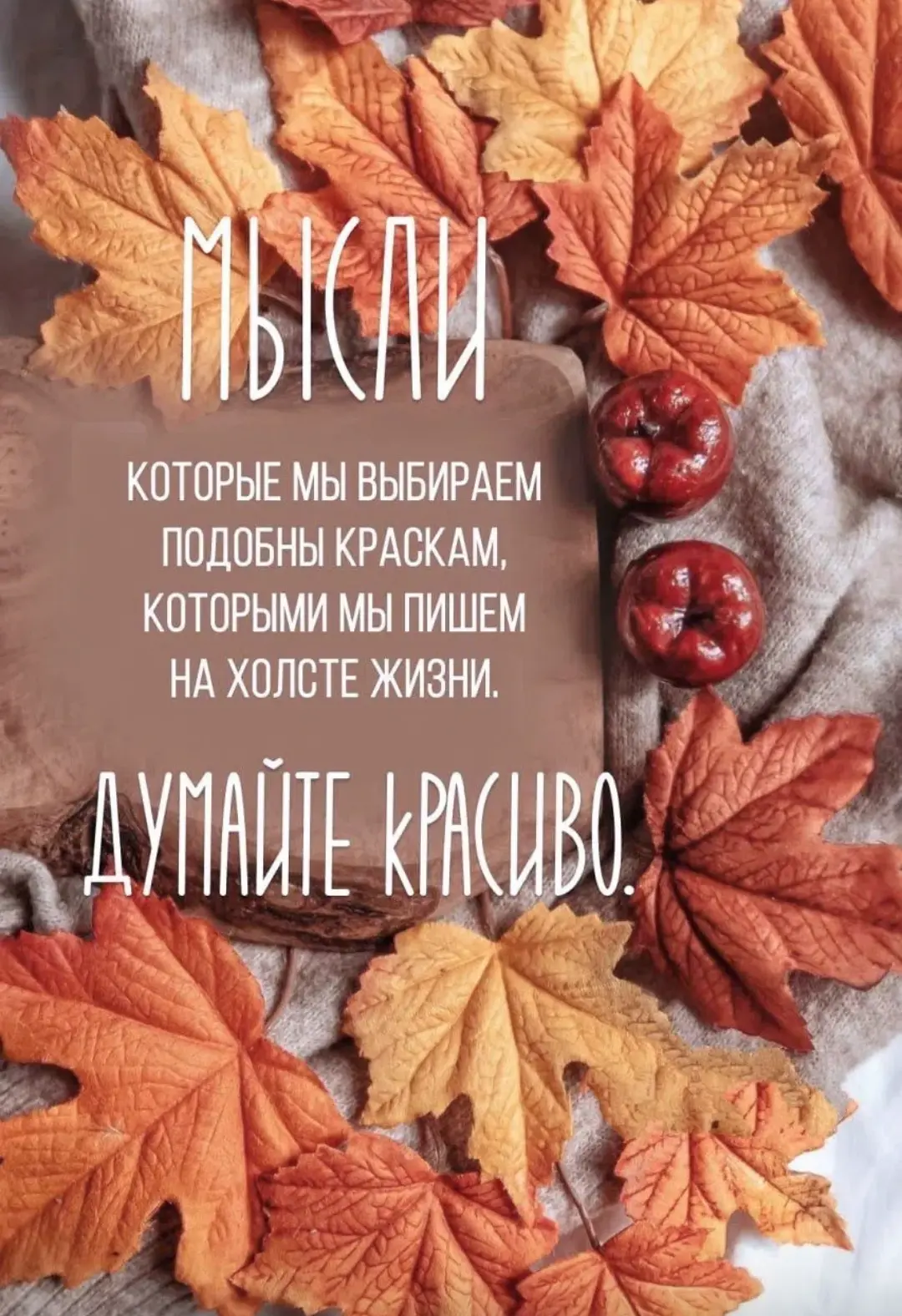Добрый день, друзья❤️