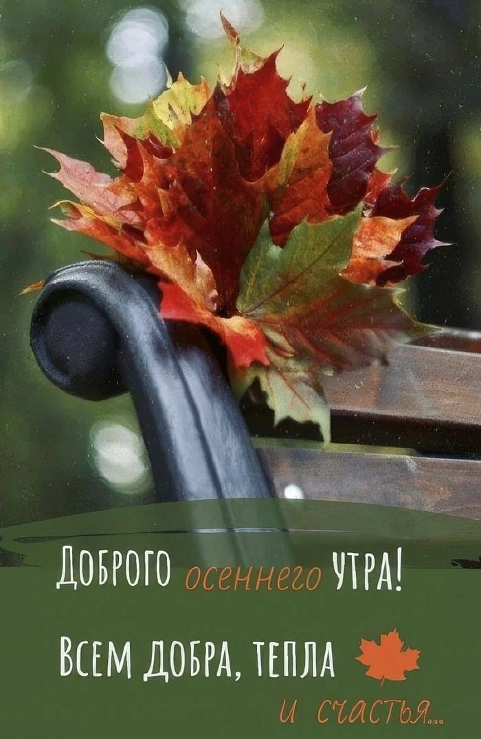 Среда, 14 октября