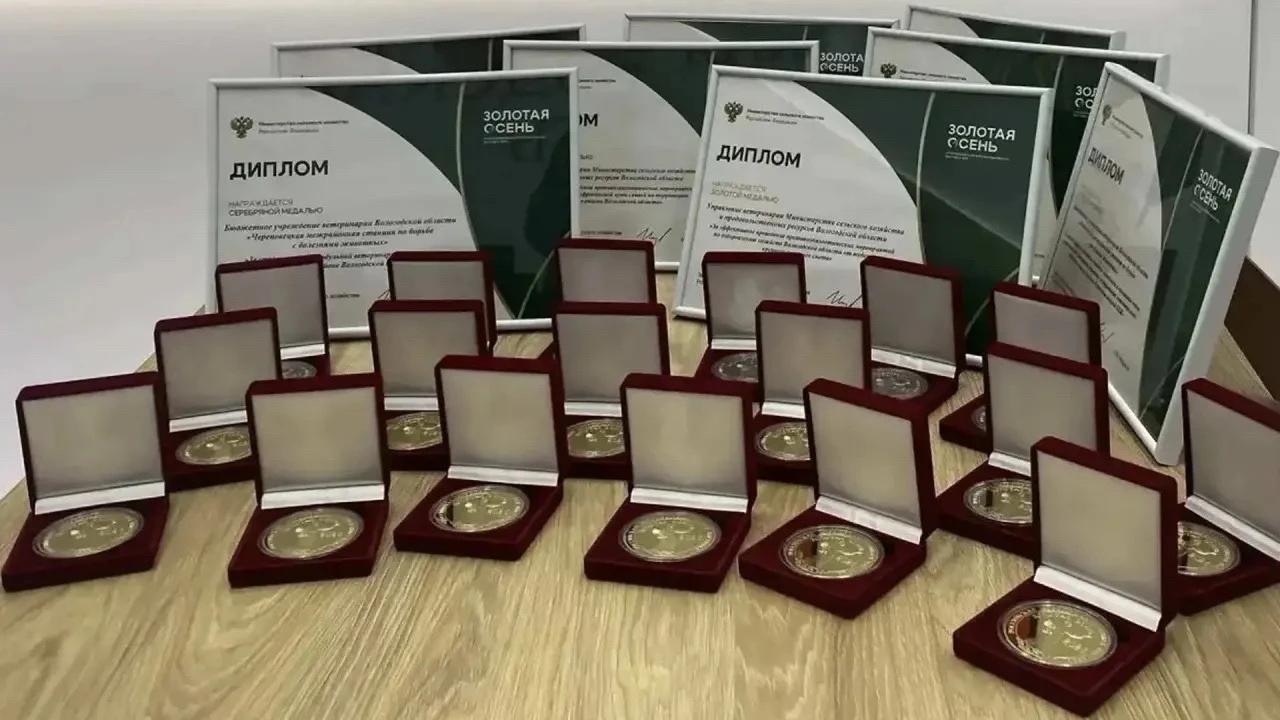 31 награду завоевала Вологодчина на выставке «Золотая осень — 2026»