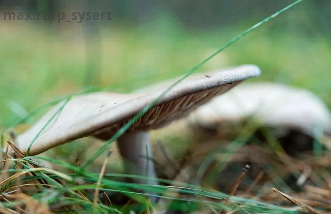 🍂 Ну что, октябрь продолжает удивлять!
