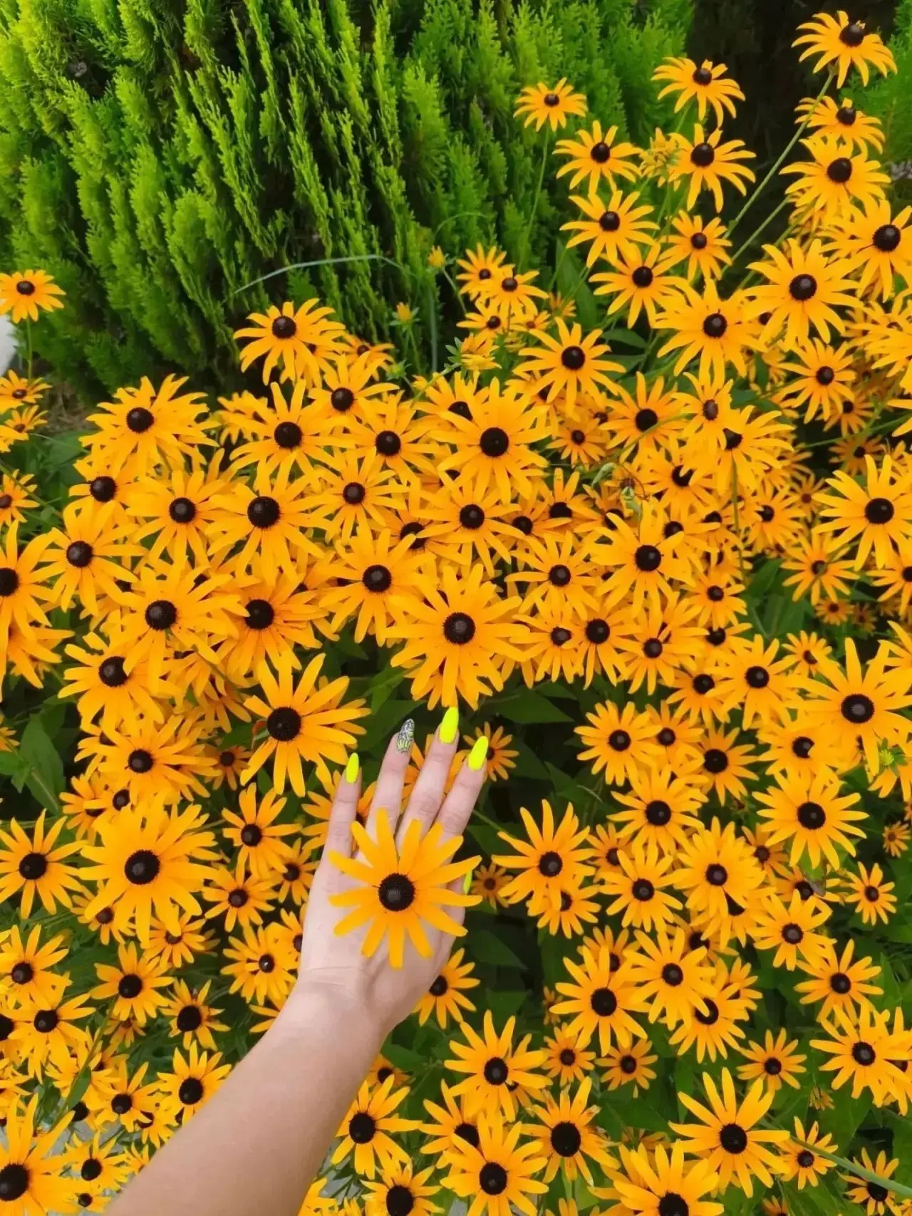 ☀️ Лето — время открытий, и наши ребята ловят его в каждом кадре!