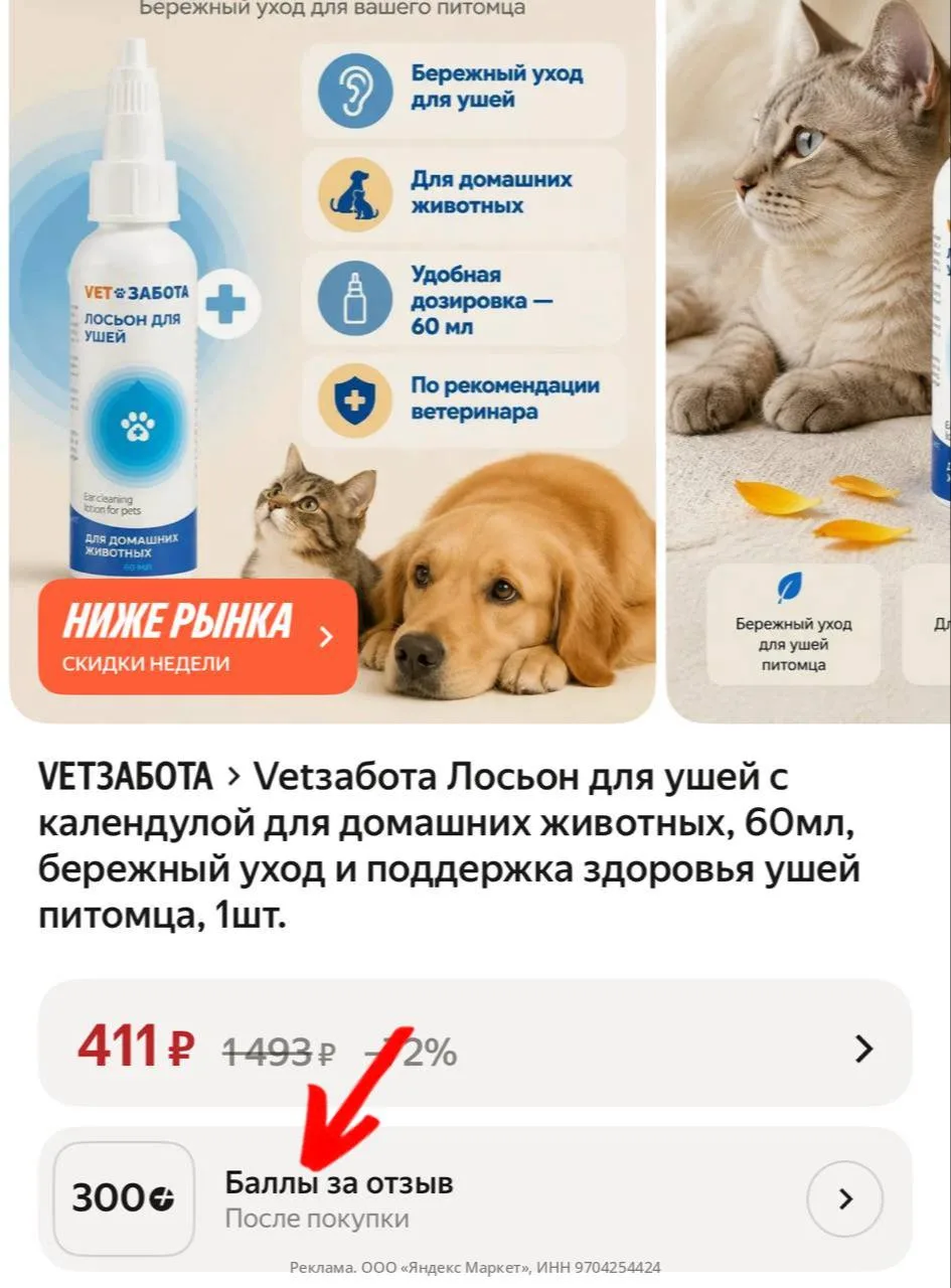 +300 баллов за отзыв