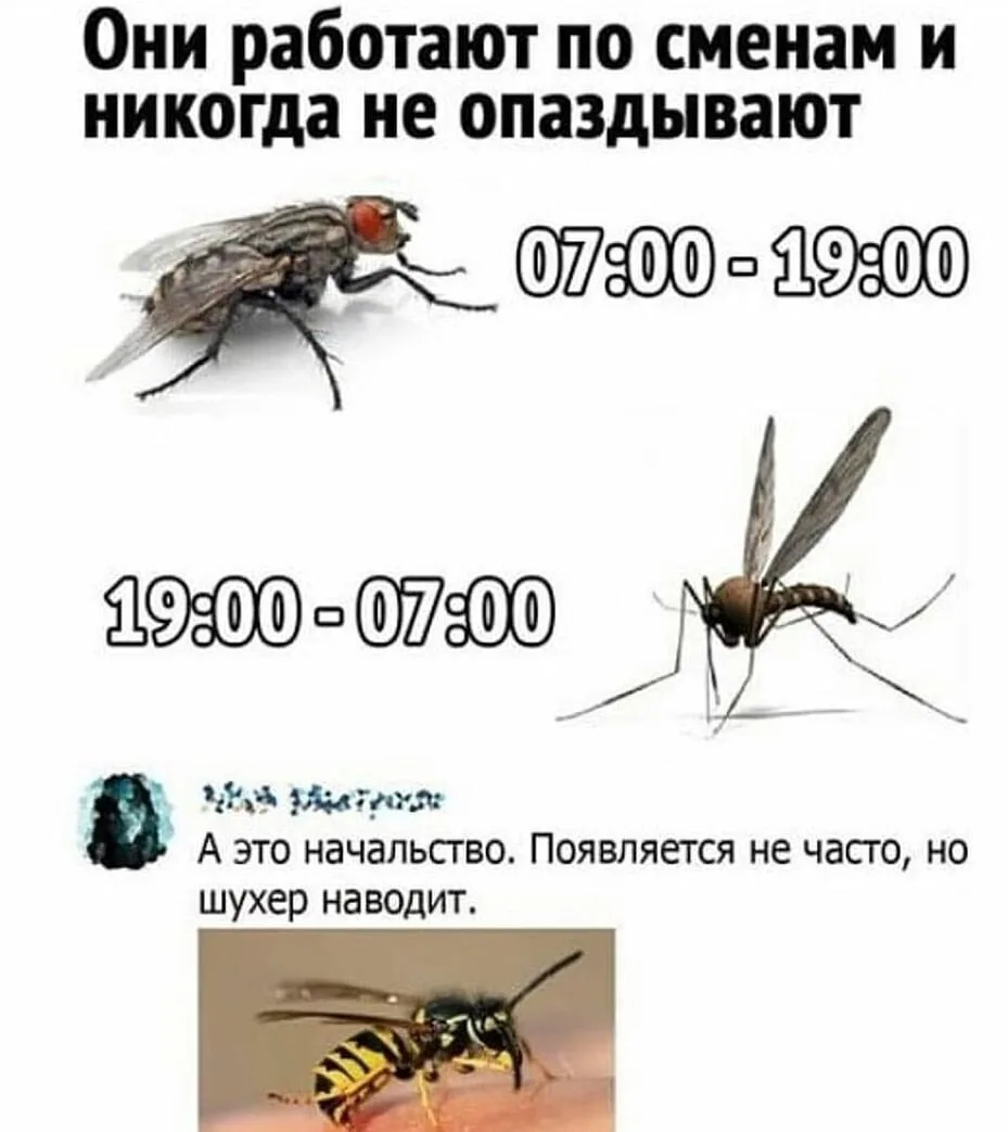 ____________________