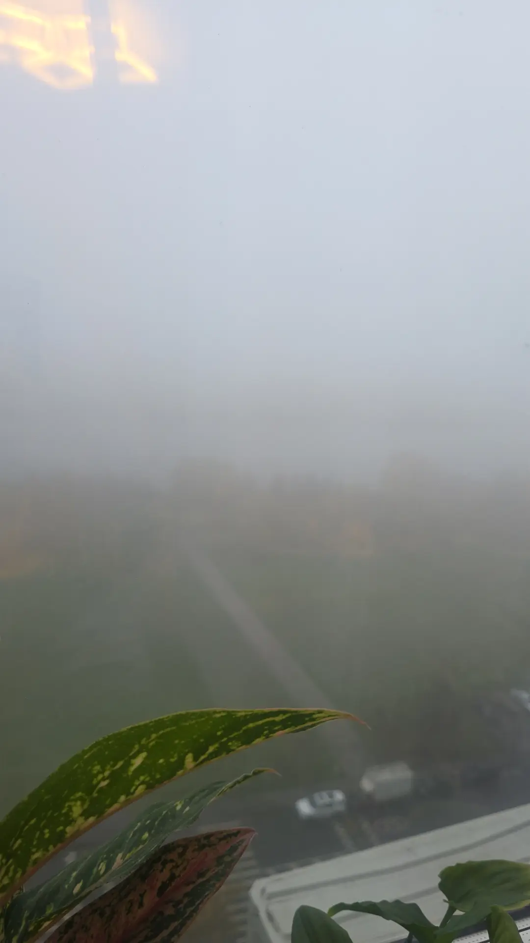 Доброе туманное😶‍🌫🤍