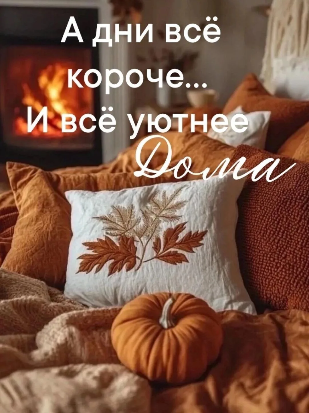 Доброго времени суток, дорогие ☀️