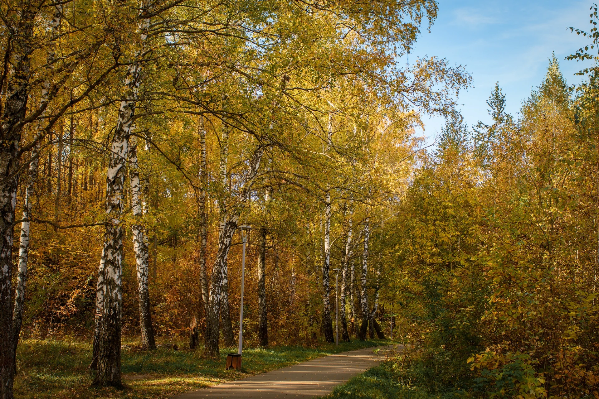 🍁Парк 40-летия Октября