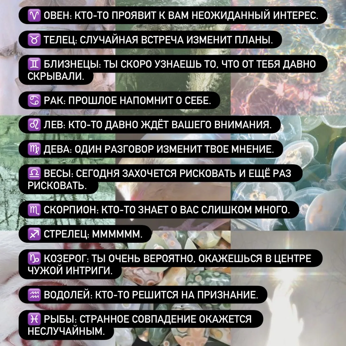 Дополнительный на 12 октября