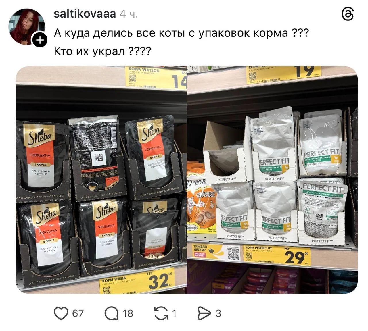 🫪 Коты начали пропадать с упаковок корма