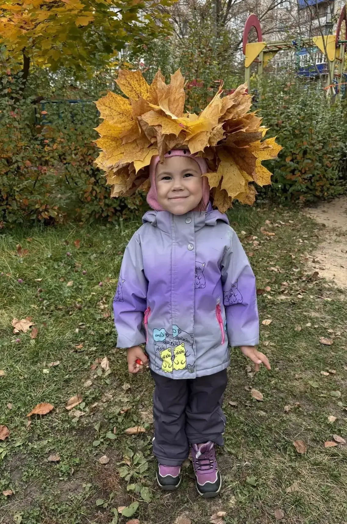 Золотая осень в самом разгаре!   🍁 🍁 🍁