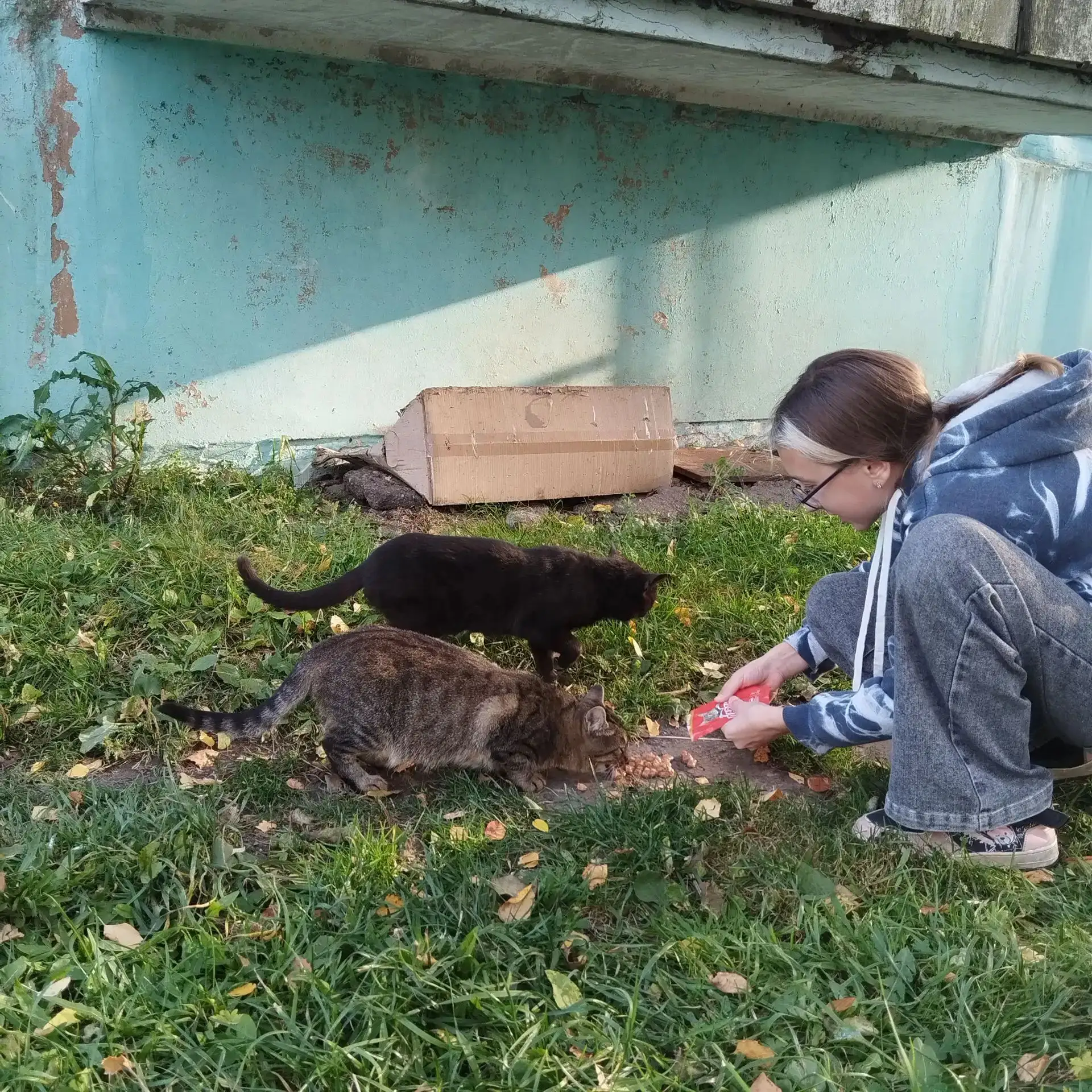 🐾 Мягкие лапки: согреваем осень!