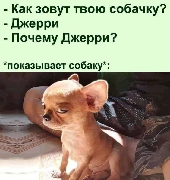 Фото