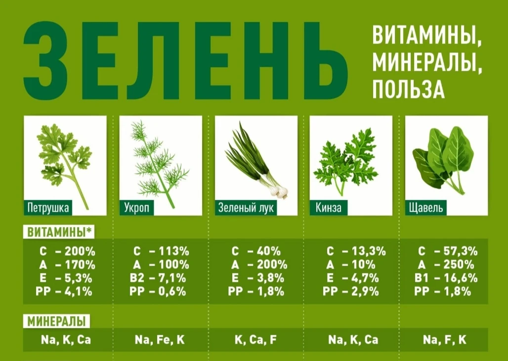 ЗЕЛЕНЬ — ЭТО НЕ ПРОСТО УКРАШЕНИЕ НА ТАРЕЛКЕ,