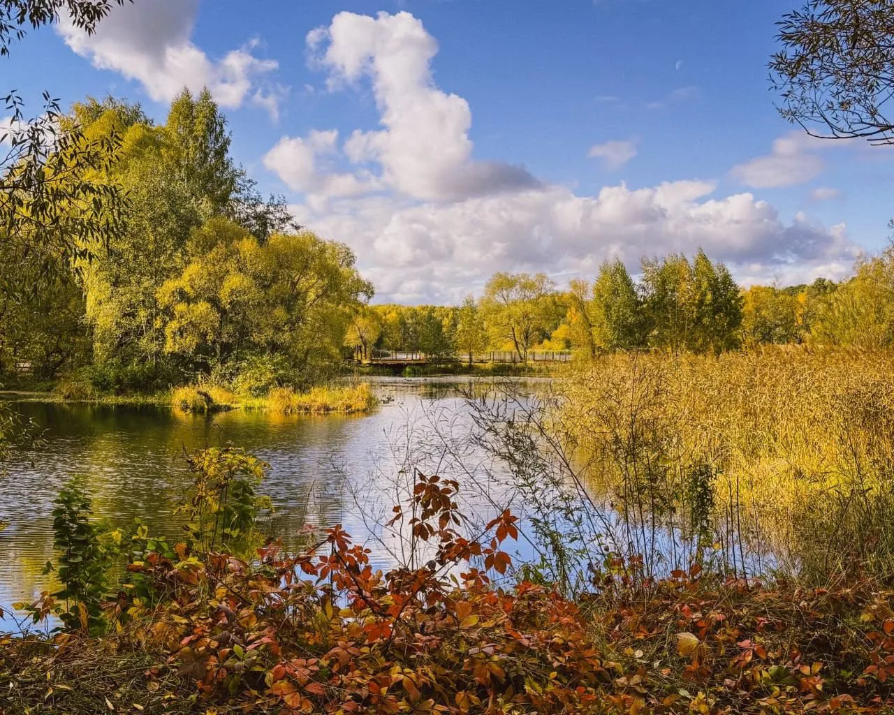 Экотропа «У озера Бездонного» в Серебряном бору 🌻