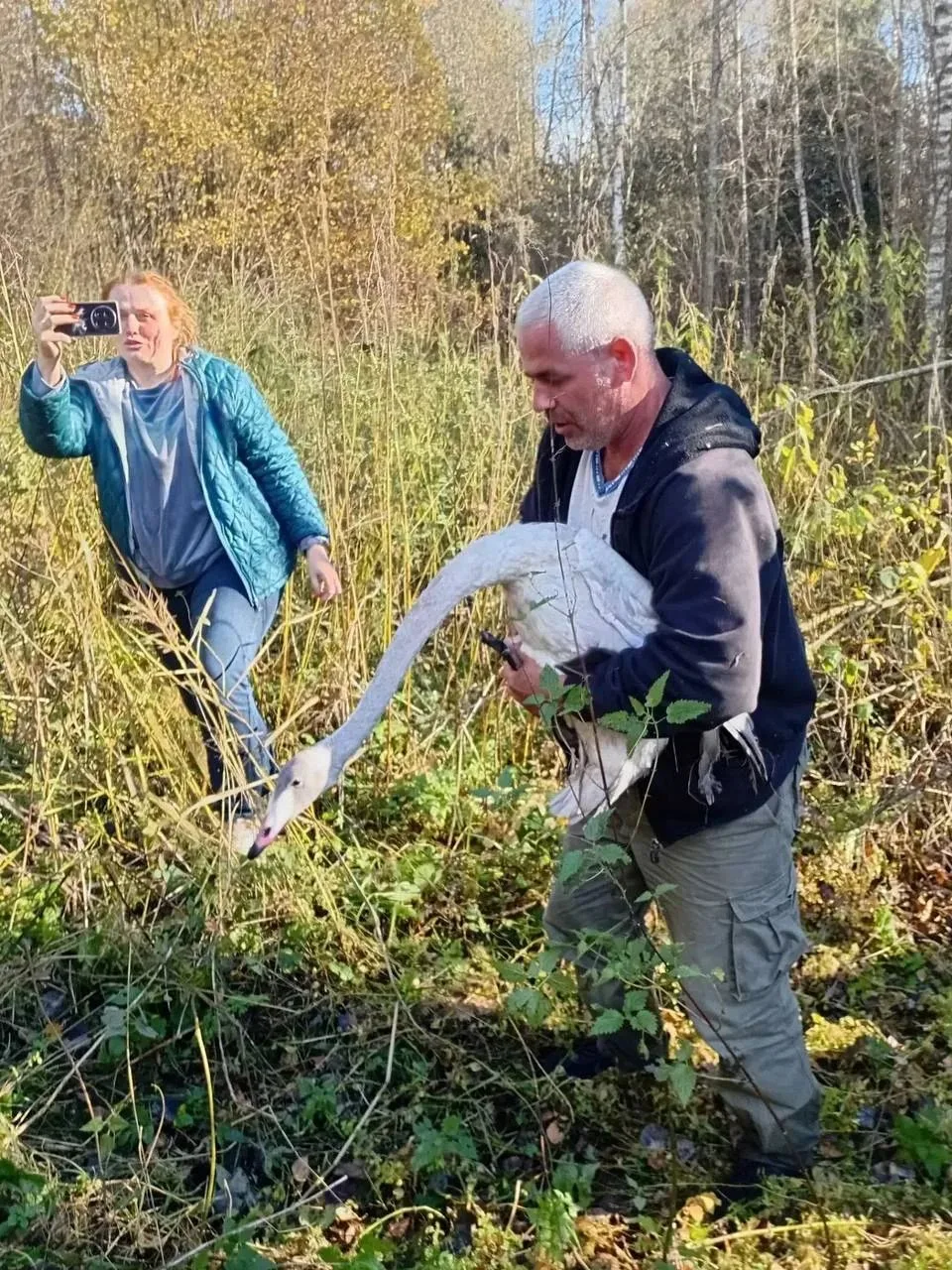 🦢 В Смоленской области спасли краснокнижного лебедя-кликуна. Птицу с врождённым дефект...