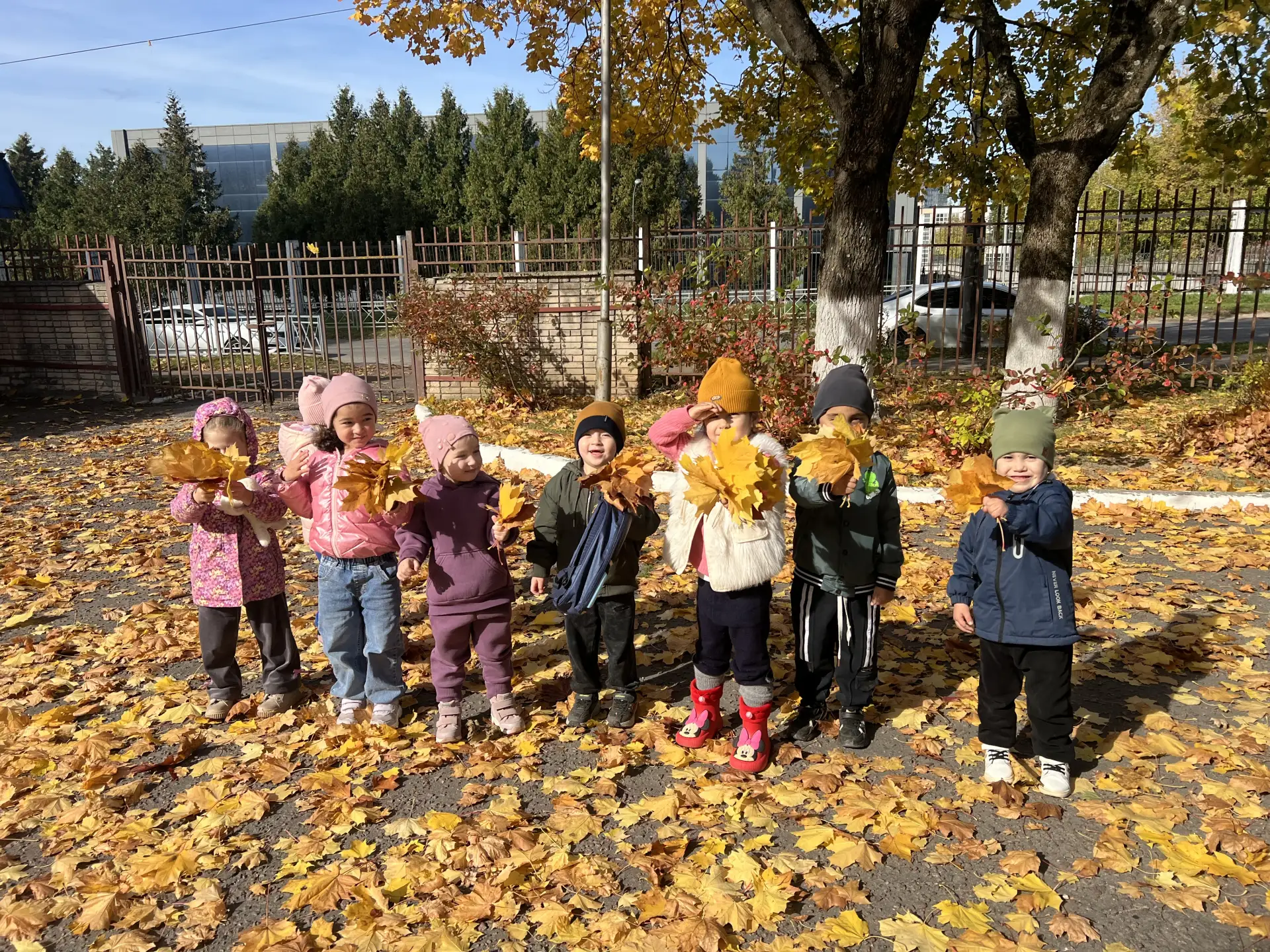 Золотая осень  🍂