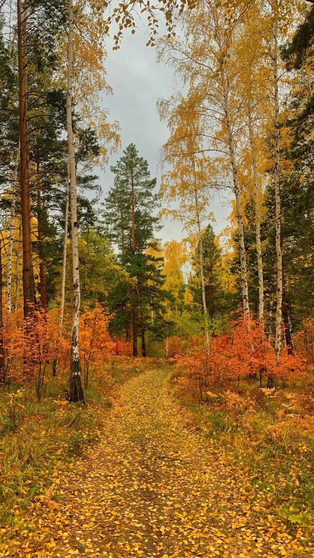 Уже оценили осеннее настроение? 🍂
