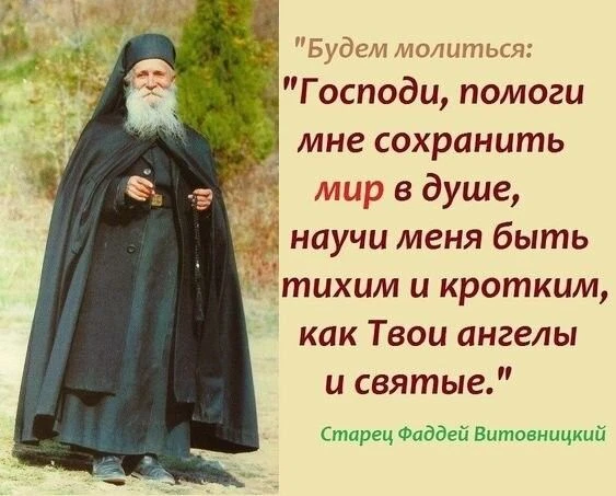 🕯️🌿🕊️💗