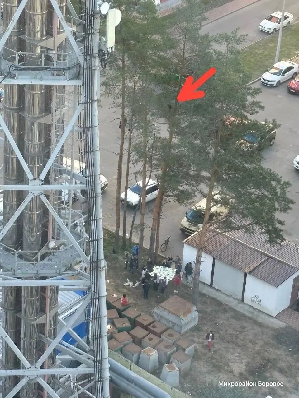 🧡 В Воронеже произошёл трогательный случай. В посёлке Боровое котёнок забрался на дерево.