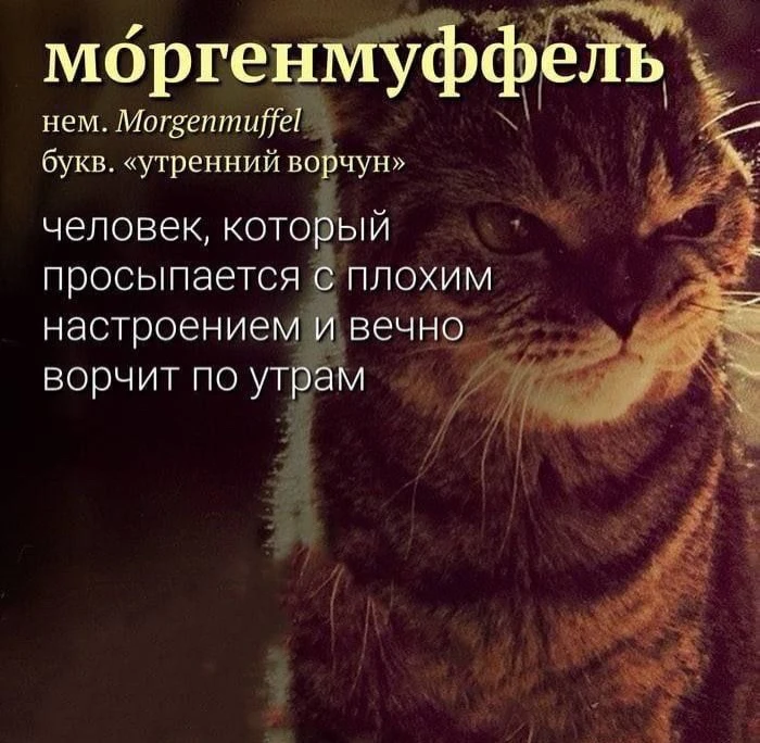 Сегодня 15 октября 2026 года, среда