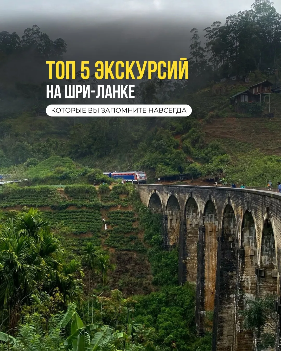 ТОП-5 ЭКСКУРСИЙ НА ШРИ-ЛАНКЕ🏝️