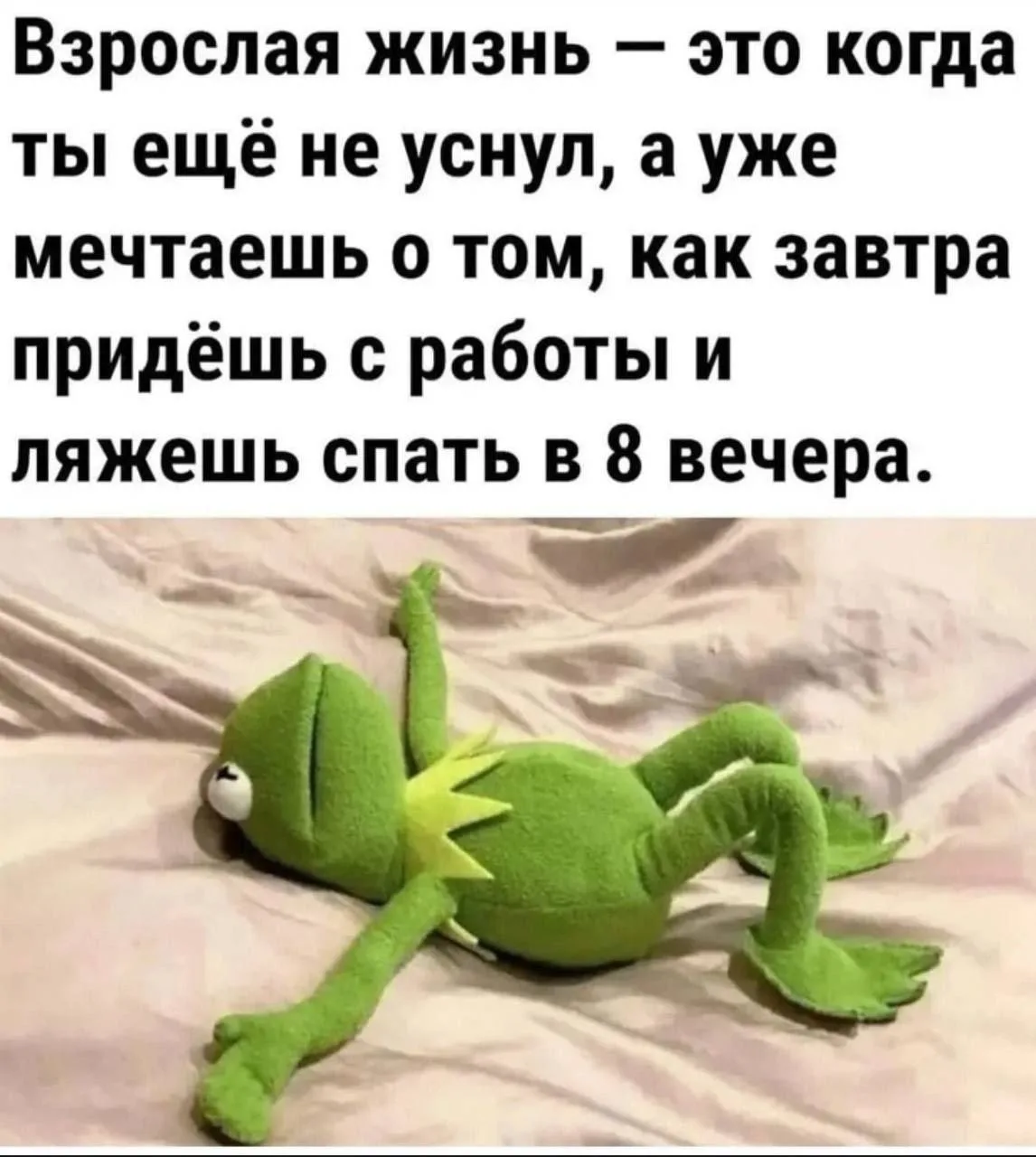 Весёлые анекдоты