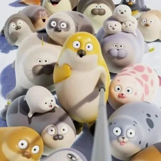 Тюленьки вас любят