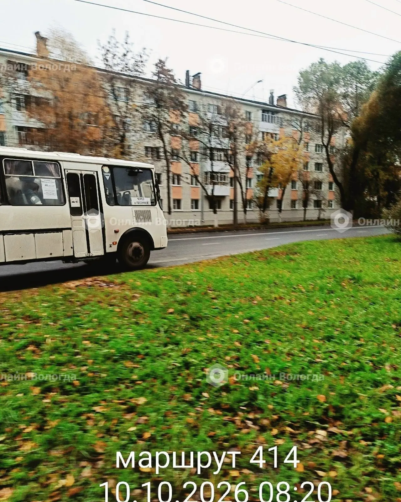 Доброе утро! Кажется, я нашла главного героя этой субботы
