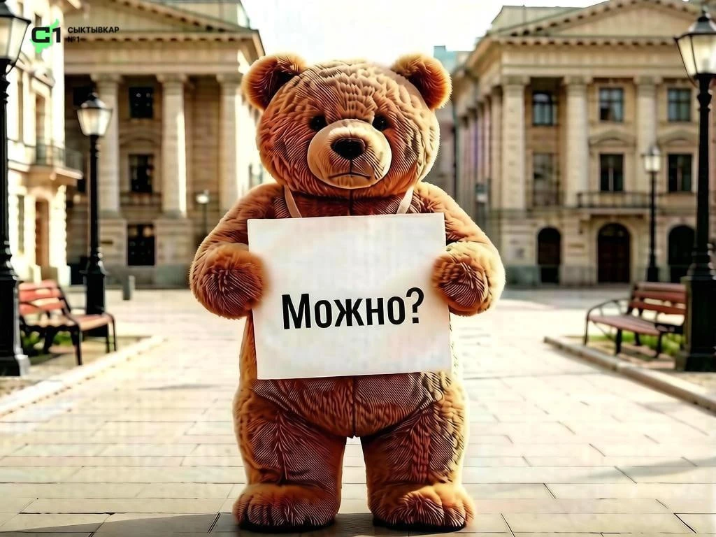 В Коми хотят  установить сроки информирования о митингах и даже одиночных пикетах 🪧