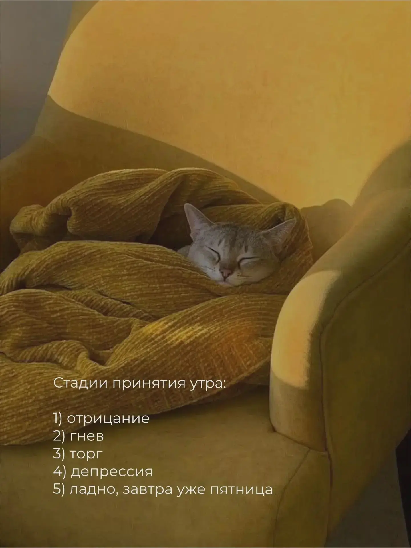 С добрым утром! 🧡