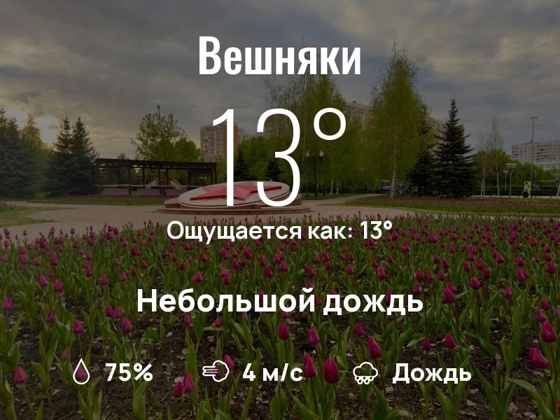 Что с погодой в Вешняках?